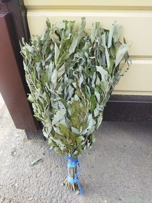 Веники банные, от 1500тг