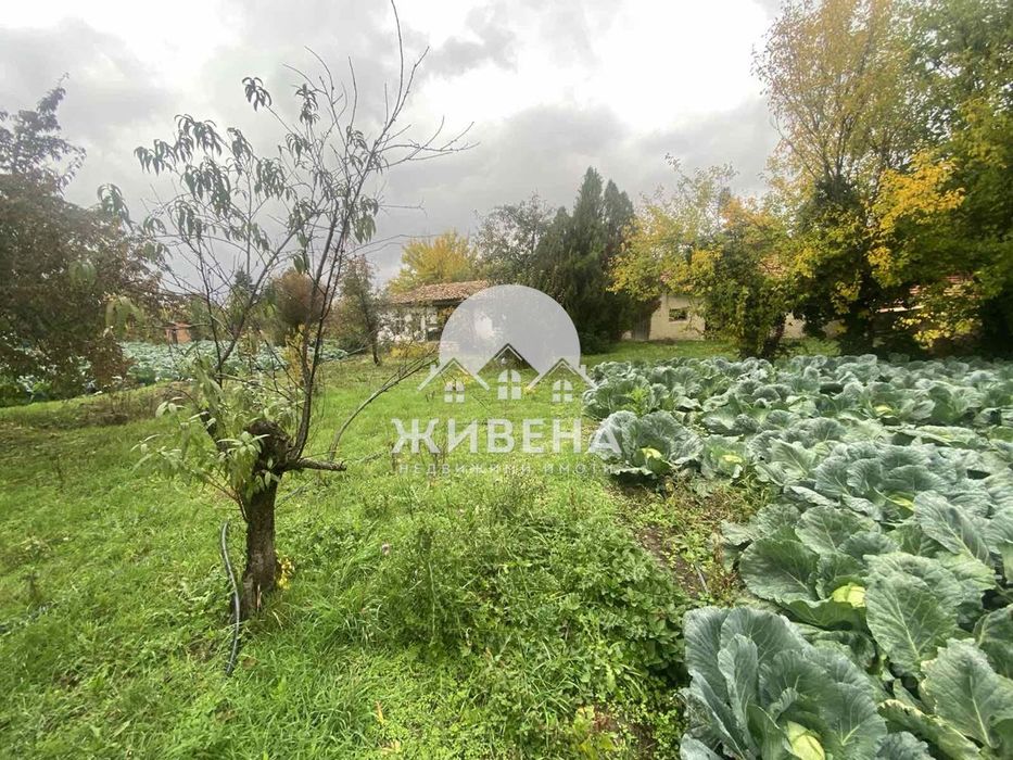 Продава къща с голям двор 2500 кв.м, с.Царевци