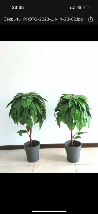 Искусственные деревья