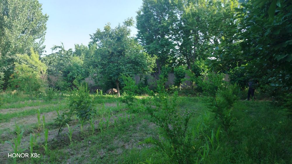 Yer sotiladi 6 sotik