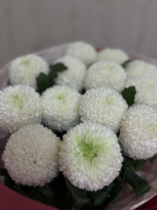 Букет хризантем недорого