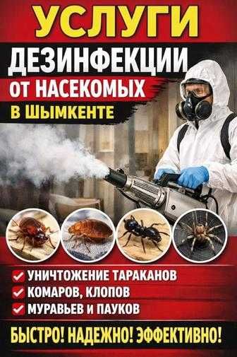 Дезинсекция помещений
