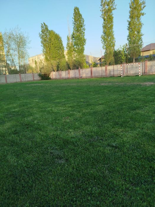 Футбольные поля в аренду с натуральной  и искусственной травой .