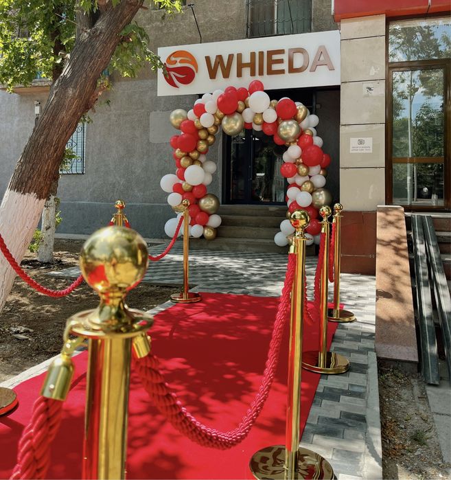 Арка из шаров. Оформление шарами в Астане