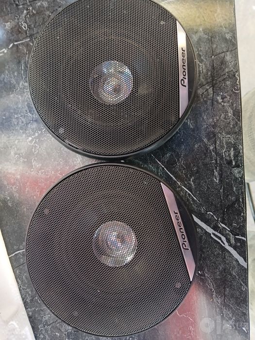 Pioneer kalonka 10 sm lik