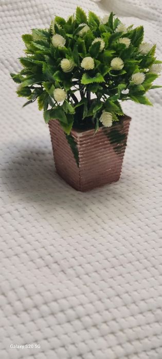 Декоративный красивый цветок в горшочке.