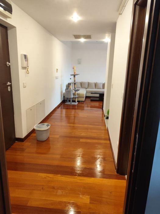 Zugravul Tău — Expert Painters București
*Gleturi, zugrăveli și