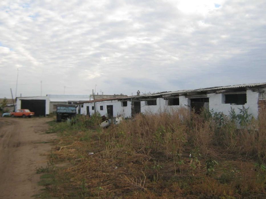 продам два дома в с. Новоямышево