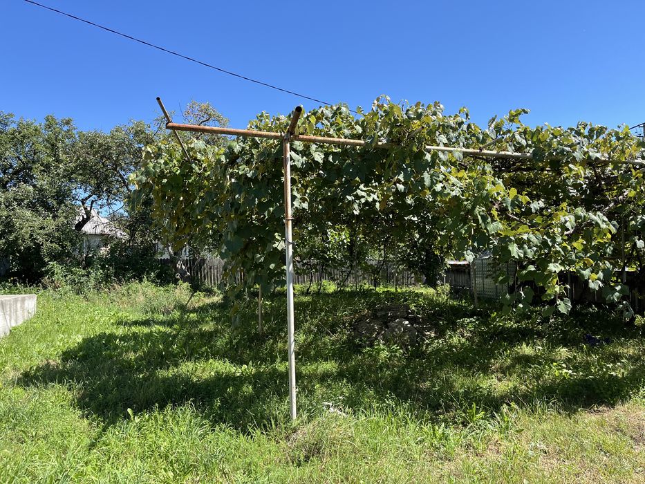 Casa de vânzare Valea Alba Neamț