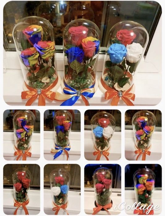 Cupola cu 3 trandafiri conservati criogenati