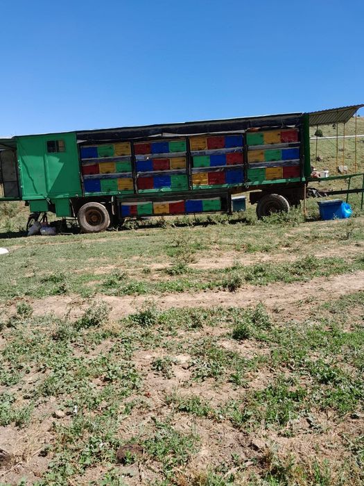 Пчелопавильон на камазовском ходу