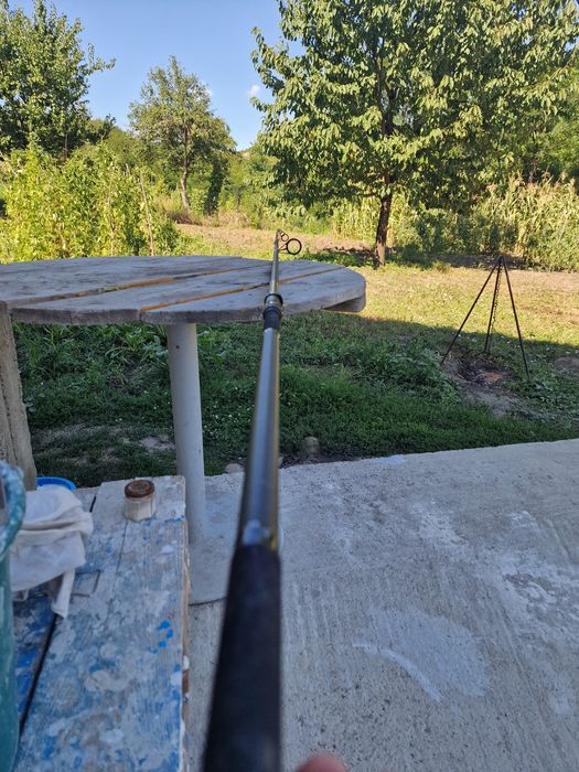 Lansete pescuit crap