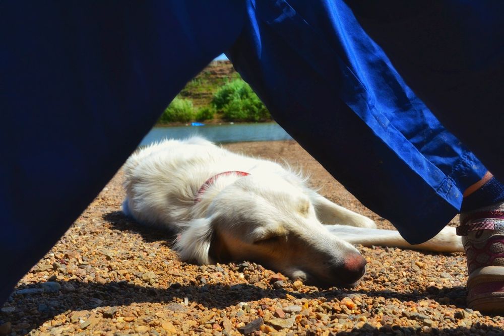 Nikon d3100 камера