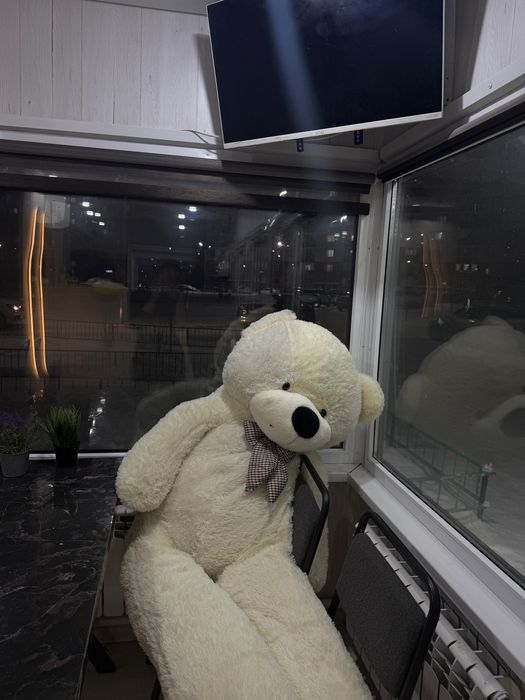 Мишка 2метр сатылады