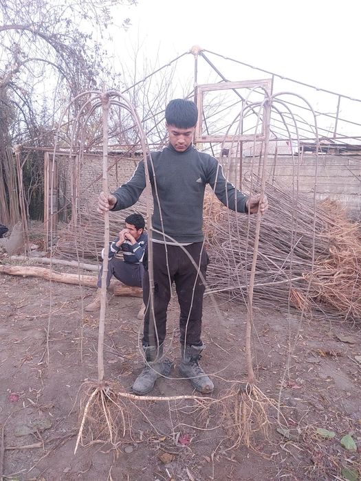 Манзара тут бор. Зонтик Соябон тут сотилади.
