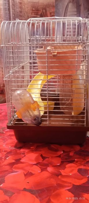 Продам клетку  для хомяков
