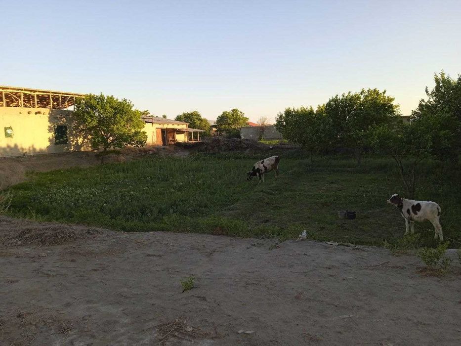 21 Sotixli hovli sotiladi