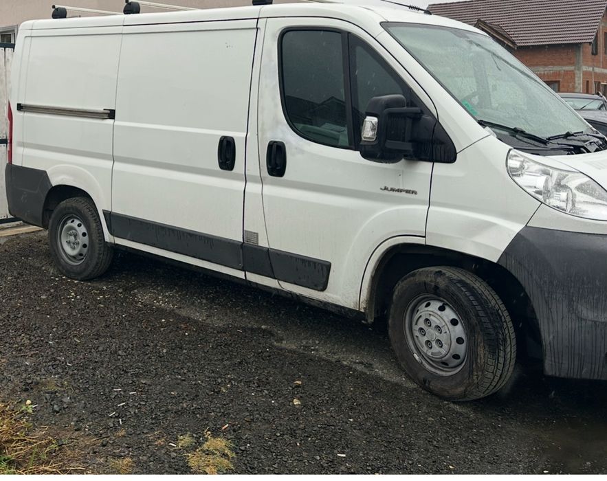 Debarasari in timisoara si judet timis