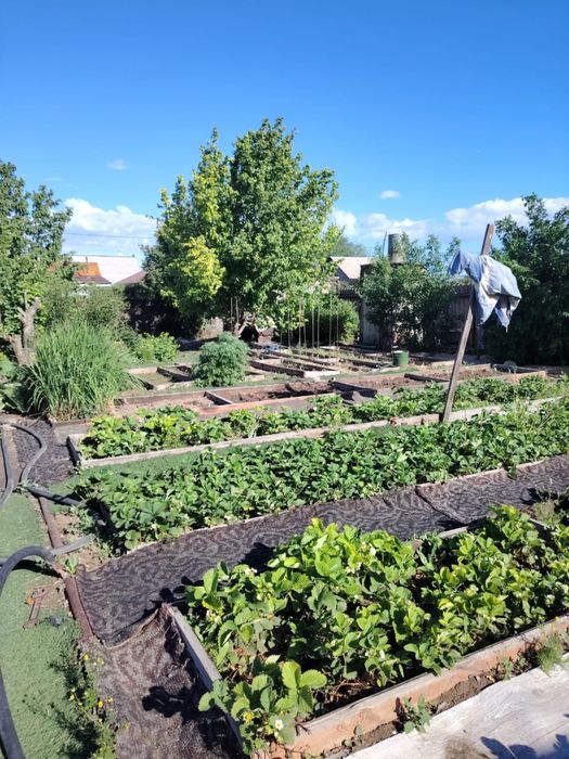 Продается Дача 6соток