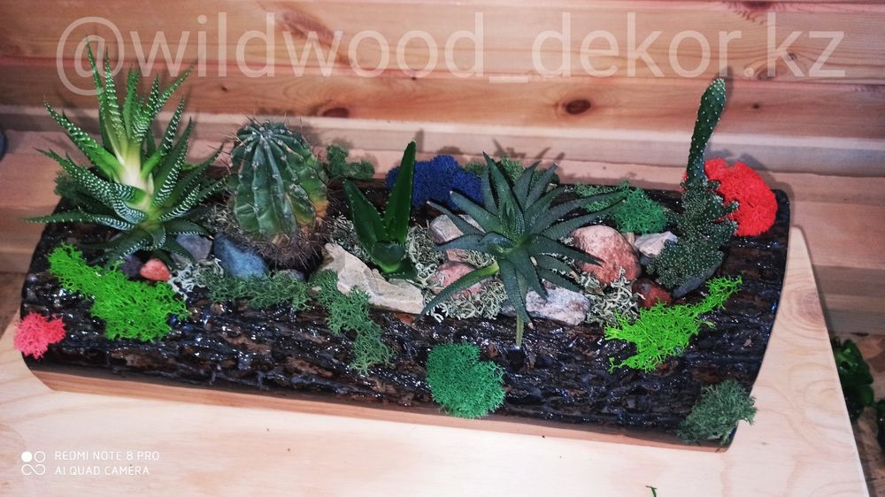 Композиция из суккулентов