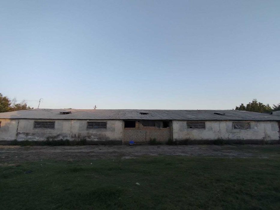 Ishlab Chiqarish Sexi.