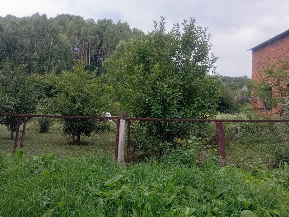 Дача с пасекой (за Тарханкой)