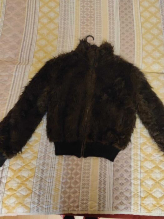 късо яке пролет/есен