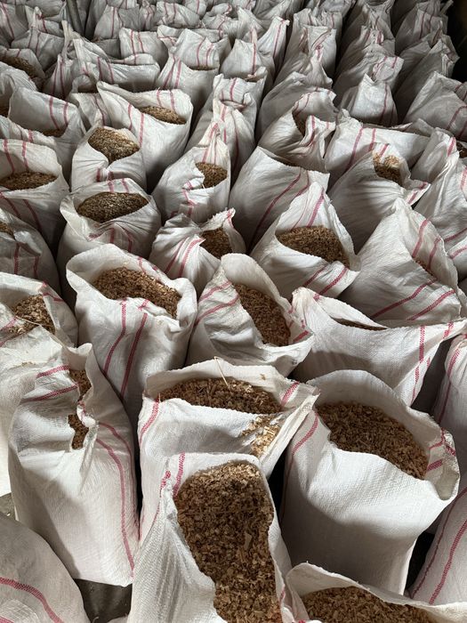 Rumegus fag uscat - pentru afumat