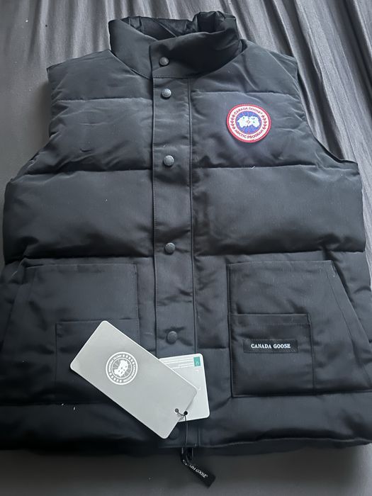 Vesta canada goose