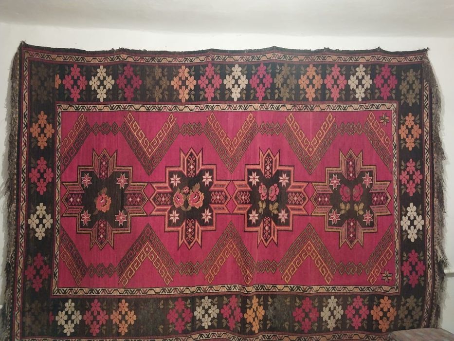 Бианка тобының жалаңаш солистері