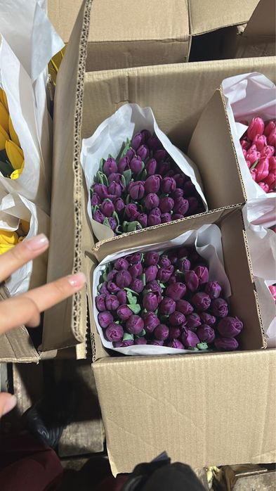 Тюлпаны местные