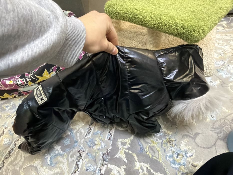 Продам куртку для собак но можно и кошкам