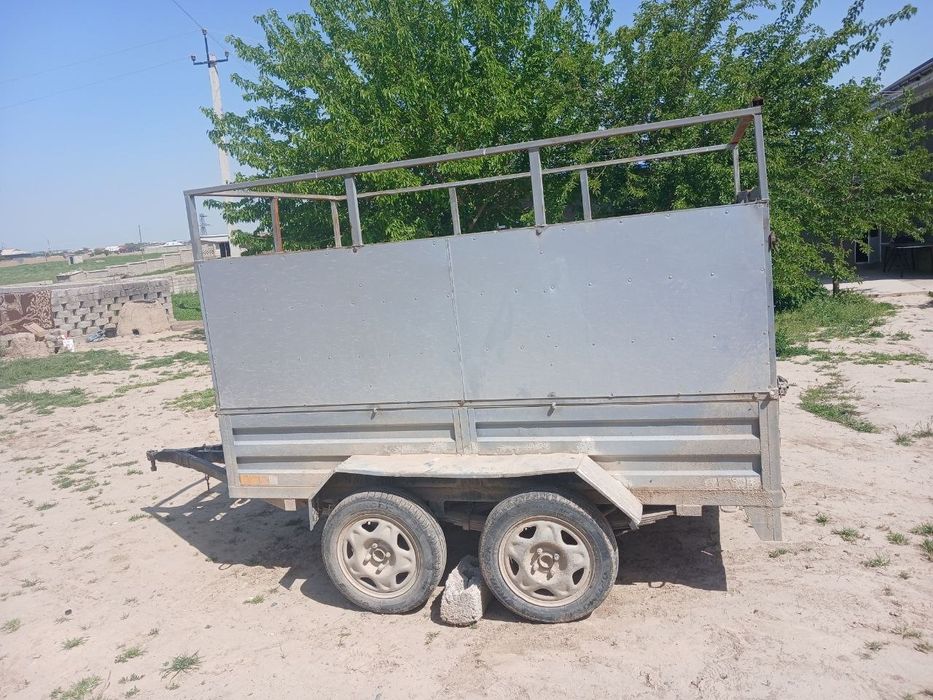 Moshina uchun tilichka