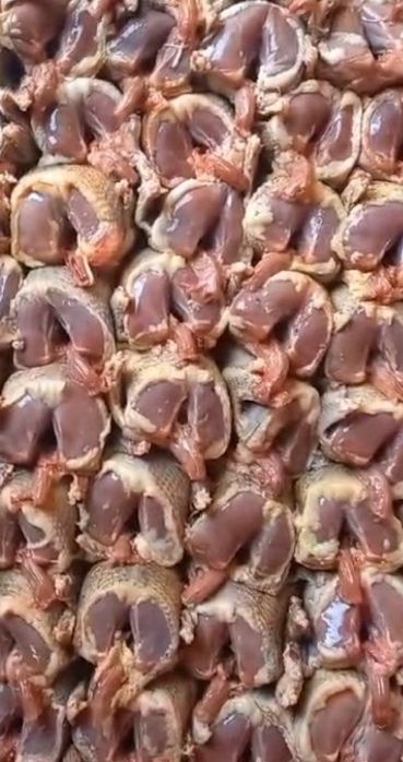 Голуби дикие мясо