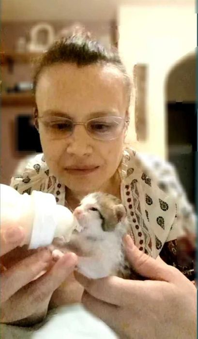 Îngrijire animăluțe - Grijă, iubire și vizite zilnice