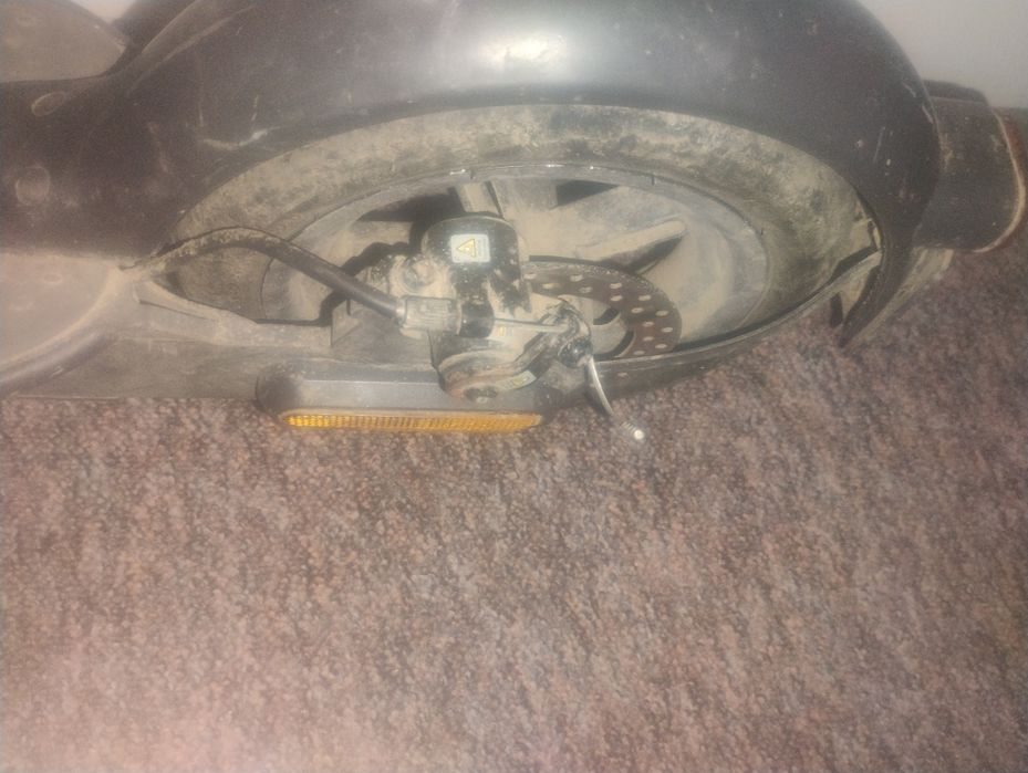 este ca noua prinde 25 și 30 la ora