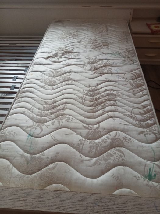 Gata cu petele de pe Canapea