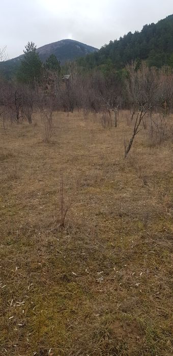 Продава имот в общ.Сапарева баня с.Овчарци