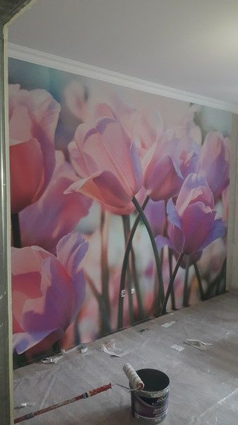 клею обои покрасим