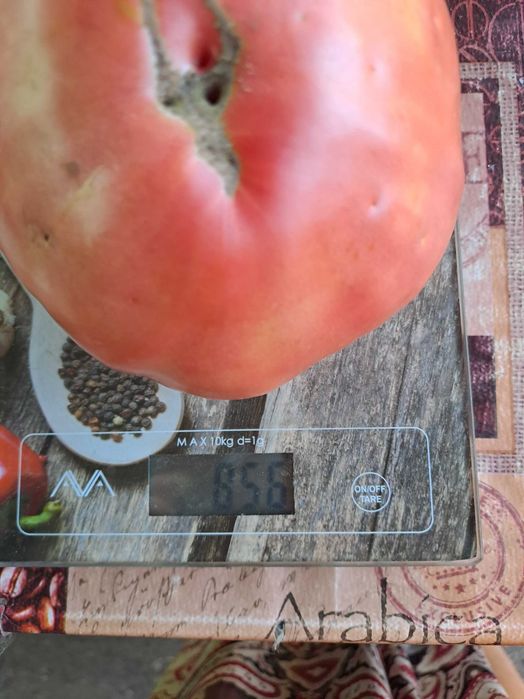 Продам дачные помидоры.