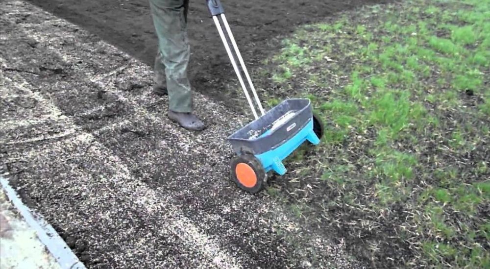 Уход за газоном