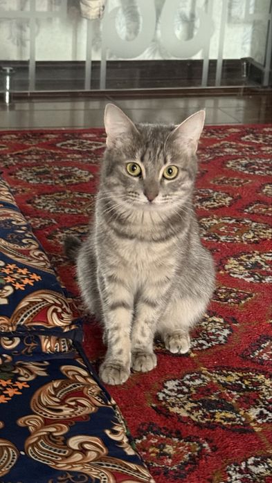 Вязка! Ищим принца срочна!