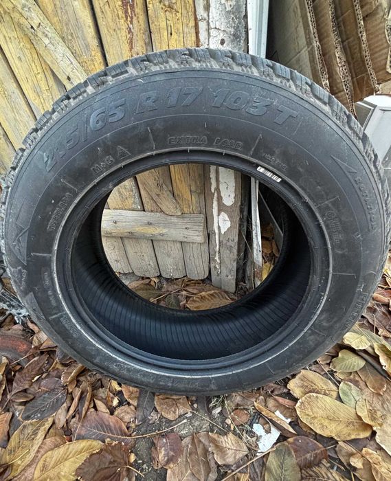 Продам шины шипов. 215/65/17 Tigar Европа