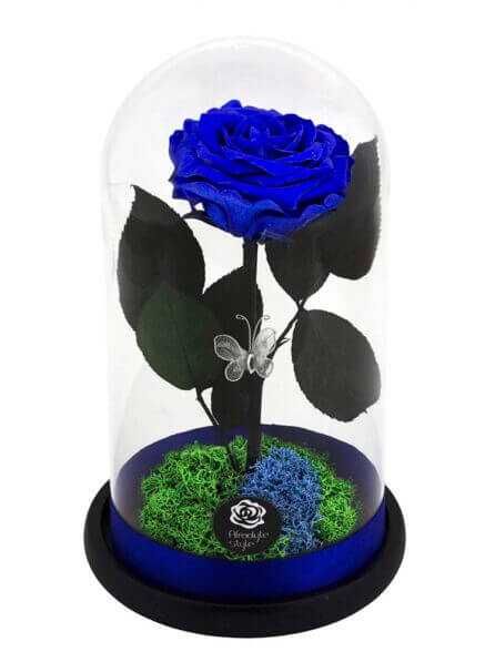 Trandafiri criogenati albastri