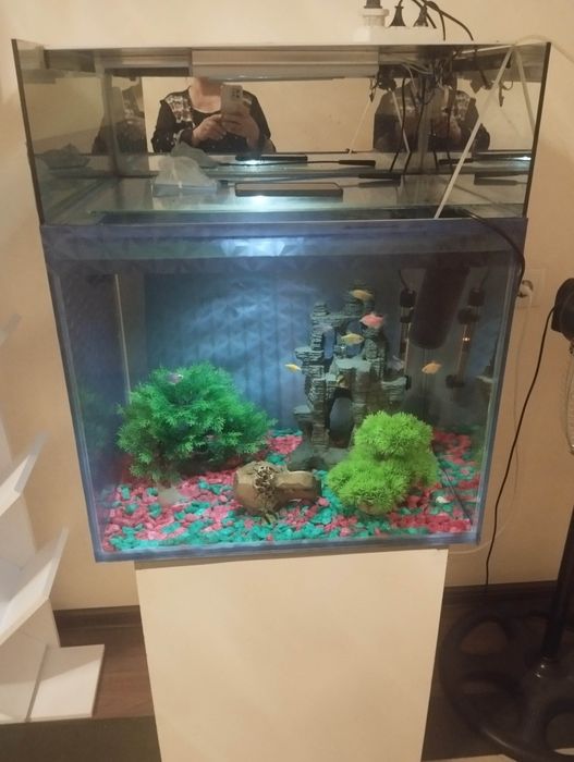 Аквариум хамма нарсаси билан