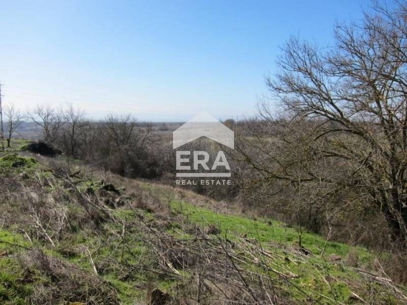 Парцел в село Кривня област Варна