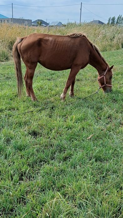Көптеген порно клиптерді қараңыз