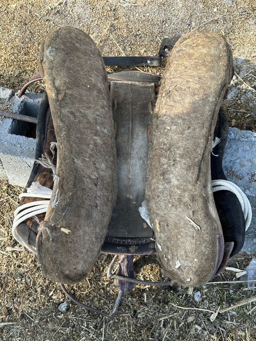 Қырғыз ертоқым….