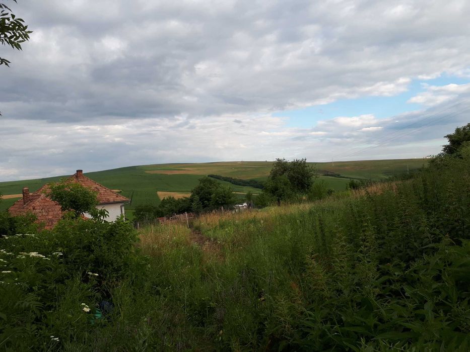 Vand teren n sat Rediu, 19 km fata de Cluj, 38 euro/mp, 88.000 euro