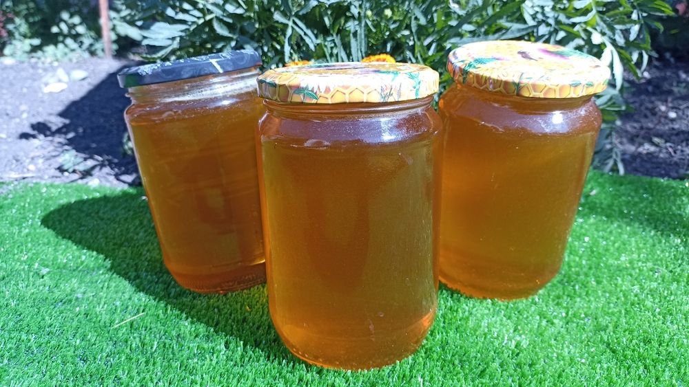 Пчелен мед реколта 2025